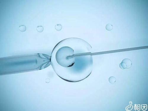 优生代怀失败后腹腔镜_如果宫颈粘连不孕可以代生供卵咨询婴儿吗