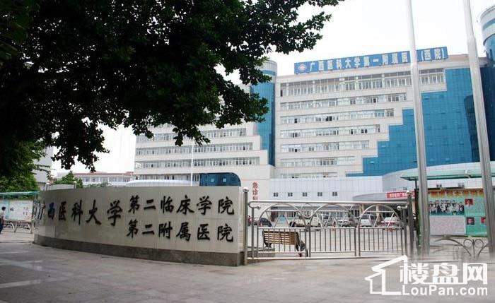 储存精子要多少钱