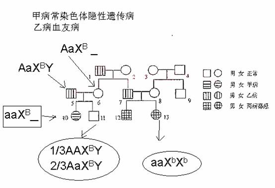 精子质量不好+试管代怀真实经历婴儿有多大的成功率