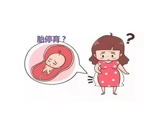 国内IVF取卵取了五个成功率有多少
